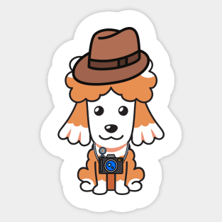 Funny poodle is holding a camera Sticker